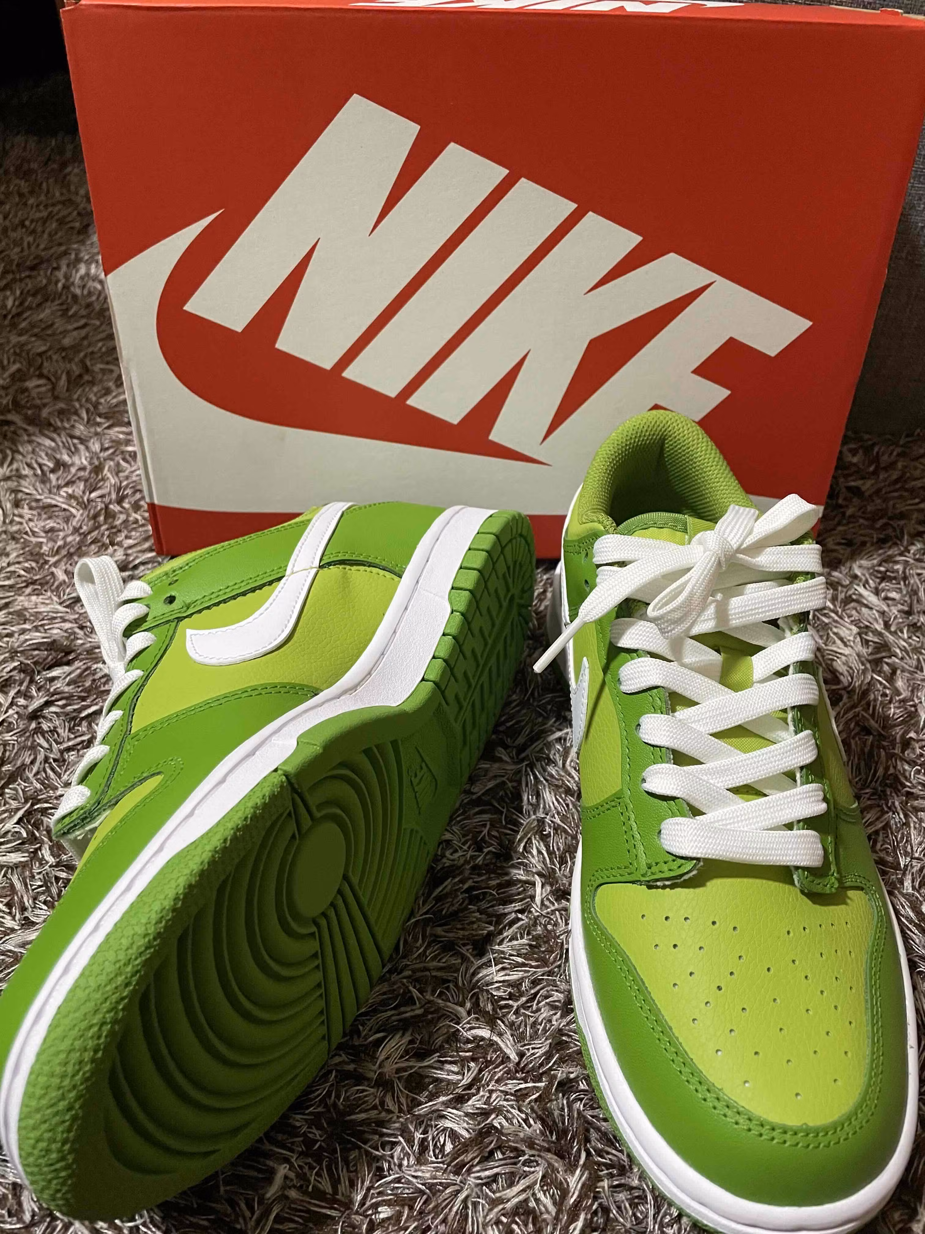 (Grade School) Nike Dunk Low 'Dark Chlorophyll' DH9765-301 (Grade School) Nike Dunk Low 'Dark Chlorophyll' DH9765-301